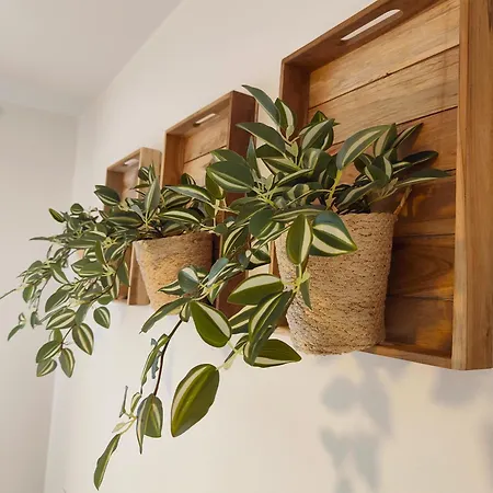 Pod Trzynastka * Jelenia Góra